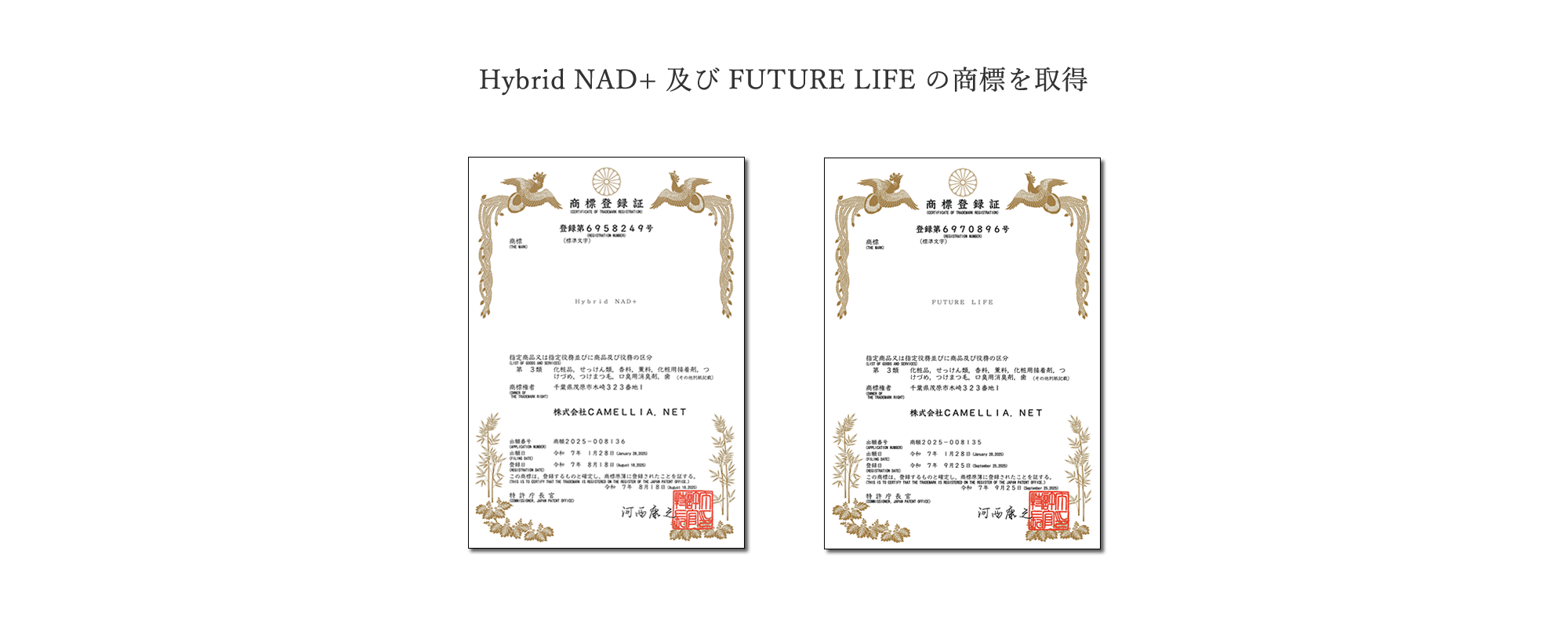 フューチャーライフ ハイブリッド NAD+