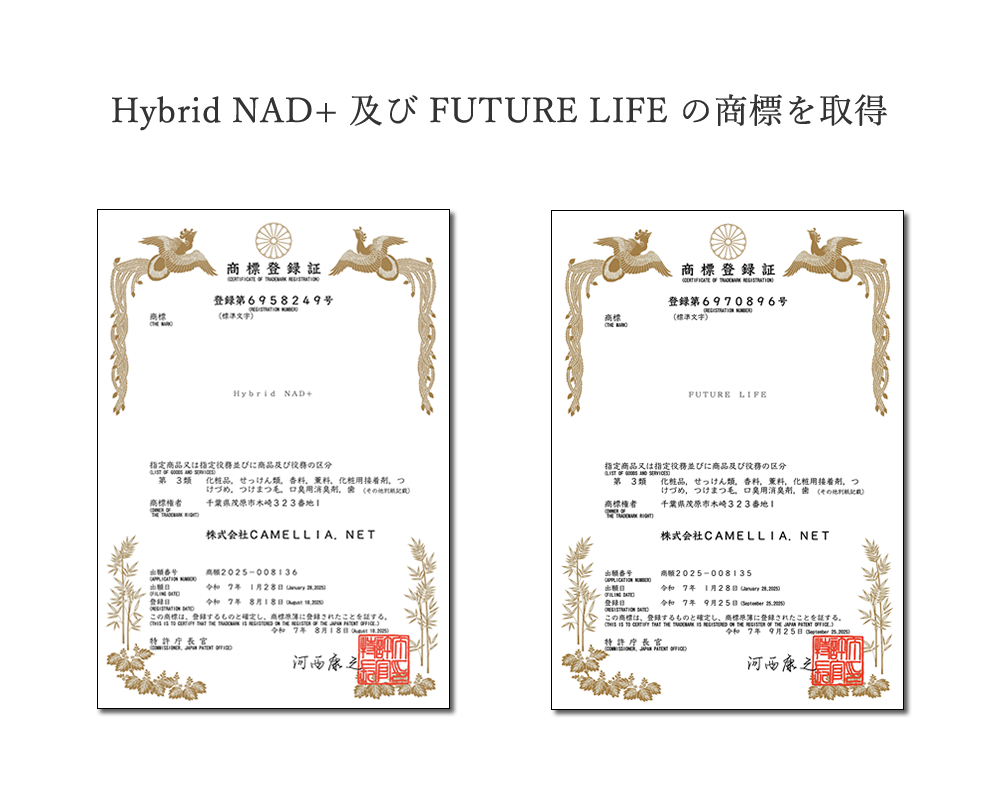 フューチャーライフ ハイブリッド NAD+